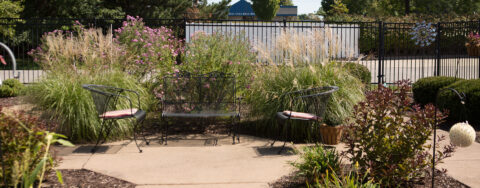 Residents with dementia can enjoy a traveling path, relaxed seating and raised garden beds in the courtyard at Bickford of Davenport